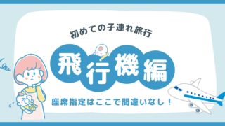 【子連れ飛行機】初めてのフライトはどこの座席がいいの？0歳児子連れ飛行機をレビュー！画像１３