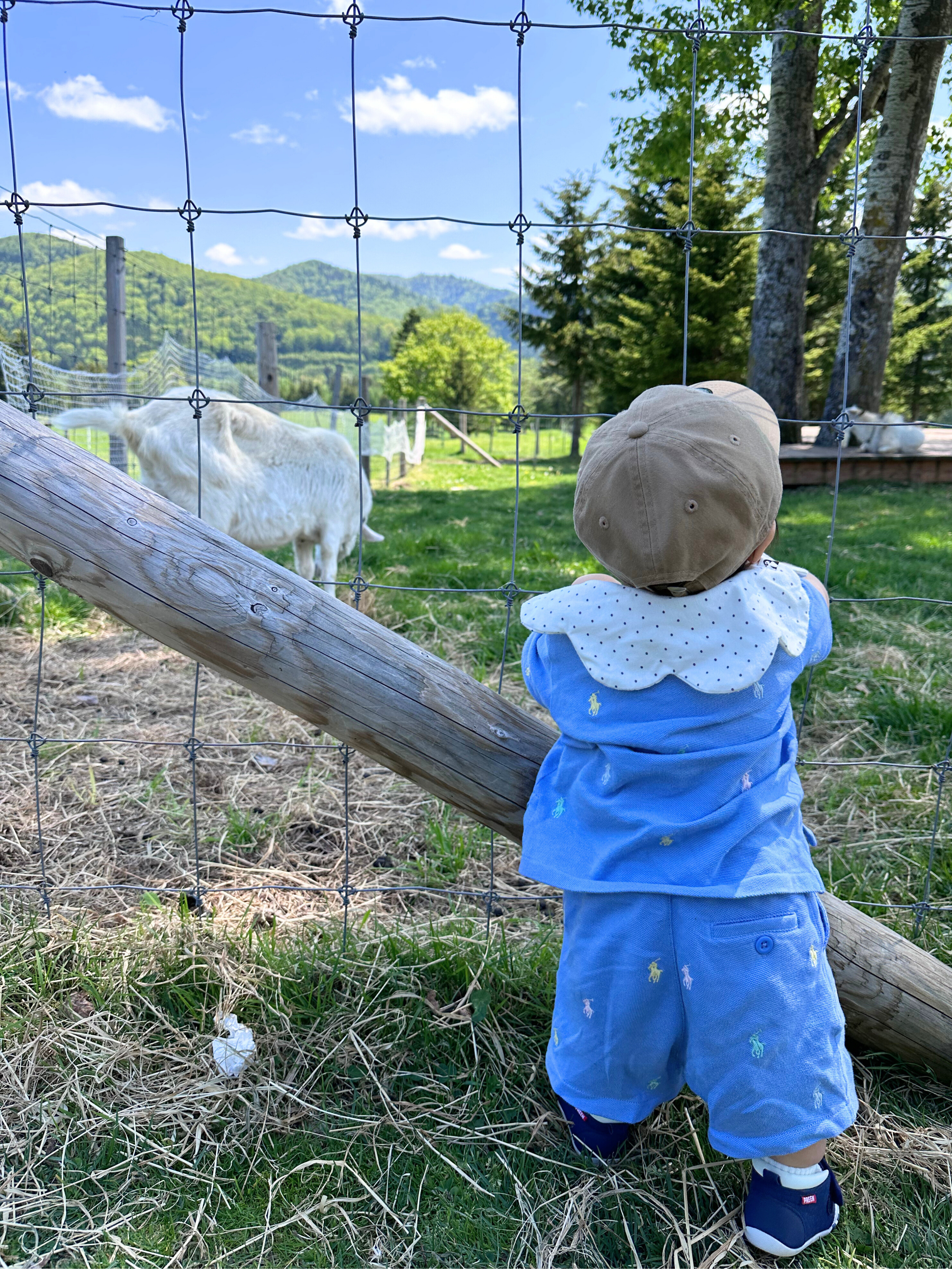 【子連れ旅行】何を持っていけばいいの？旅先で大活躍した持ち物や便利グッズを紹介！画像９