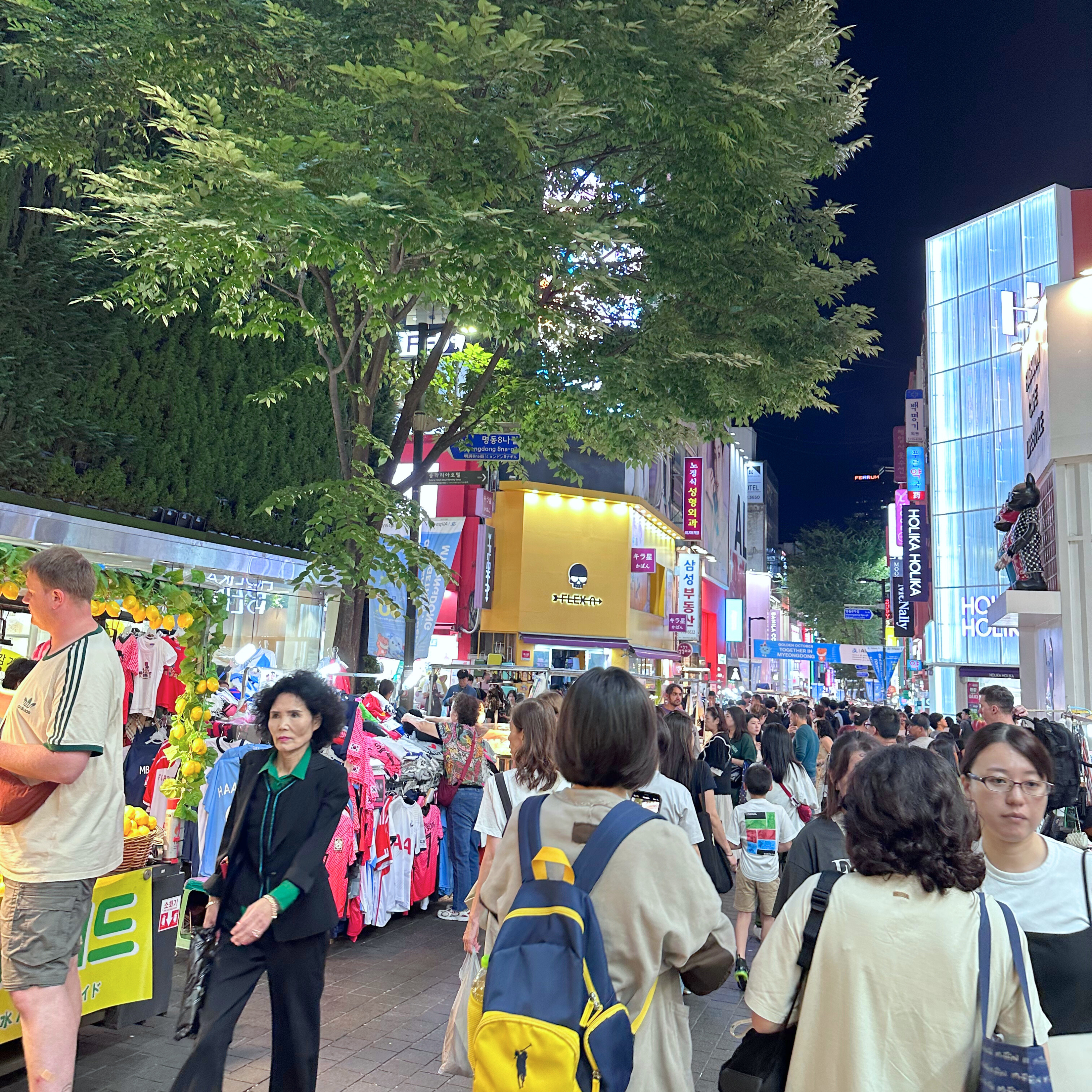 【子連れ韓国旅行】初心者向け基本情報と旅行前必須チェックポイント編画像６