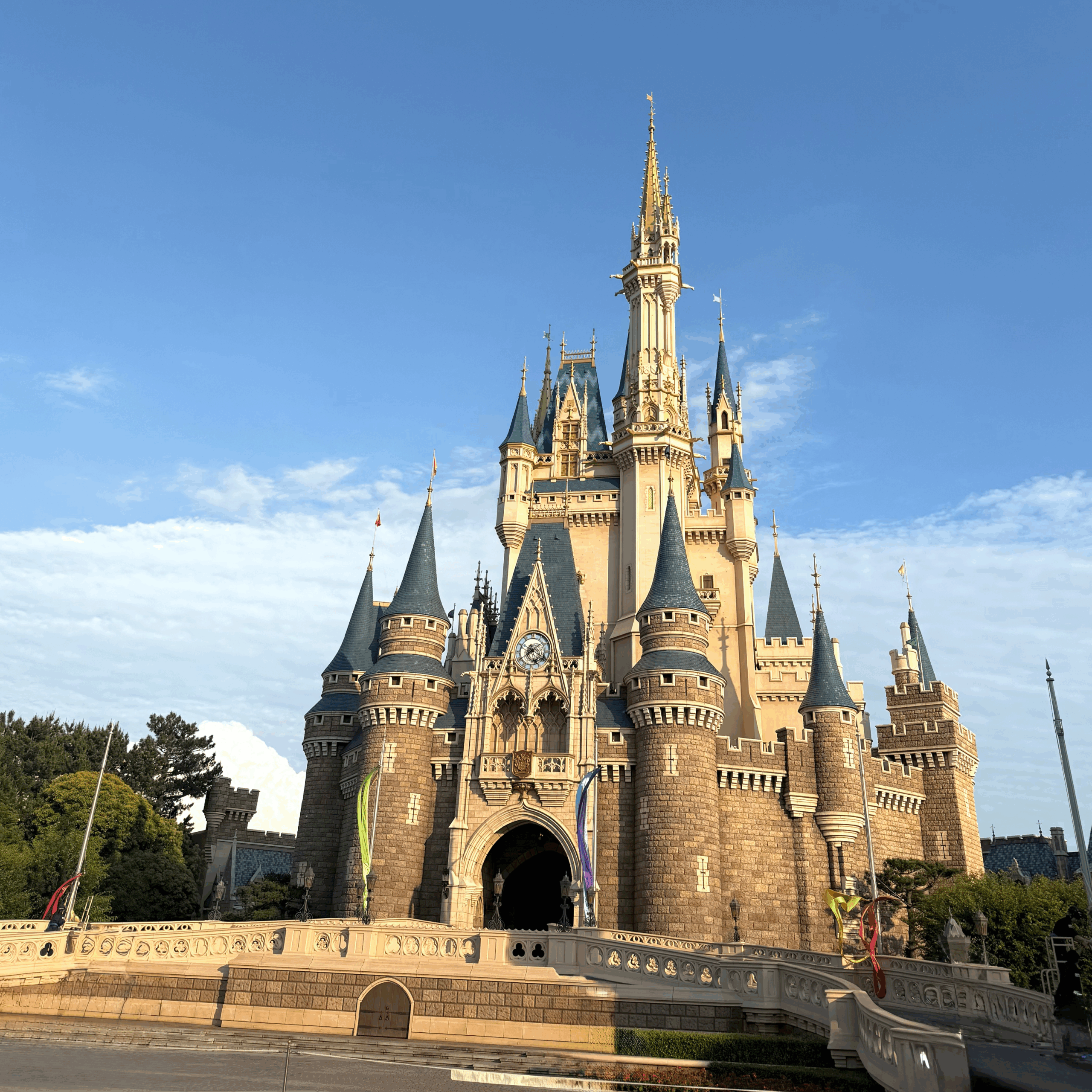 【子連れディズニー】2歳児ディズニーランドの持ち物や事前にチェックしてほしい⑤つのポイント画像12